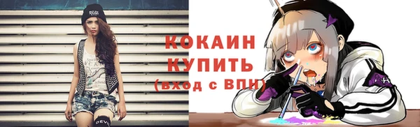бошки Гусь-Хрустальный