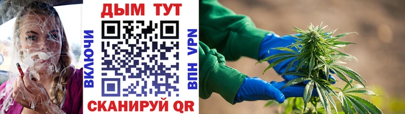 Шишки марихуана конопля  нарко площадка официальный сайт  Верхотурье 